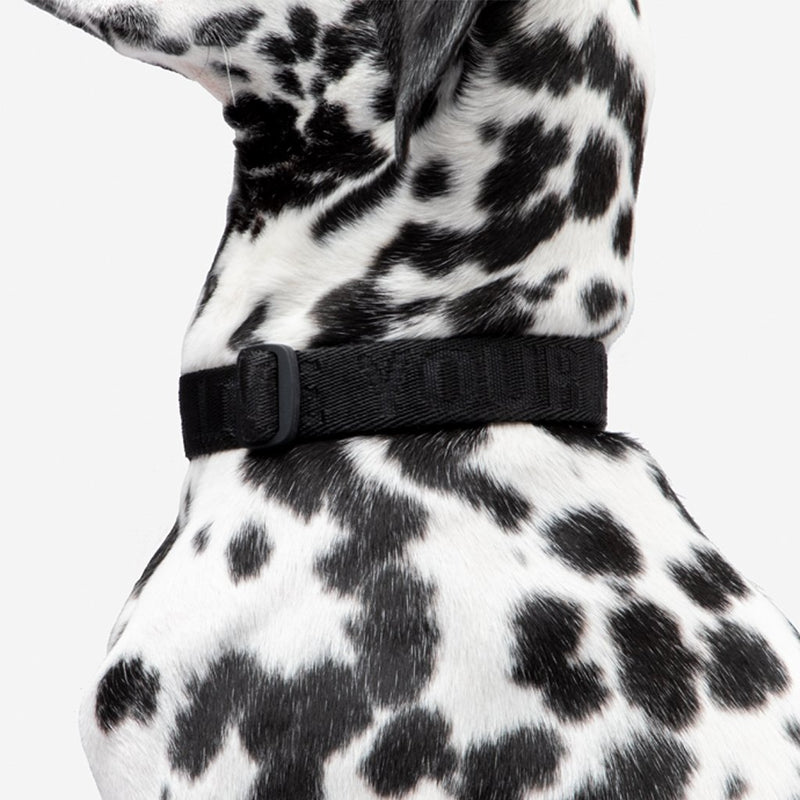 Black Logo Dog Collar