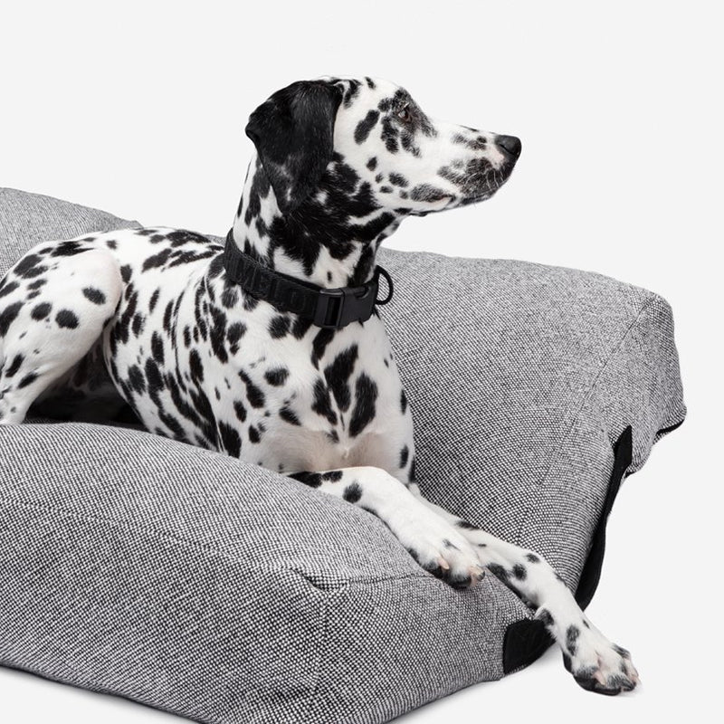 Black Speckled Dog Bed